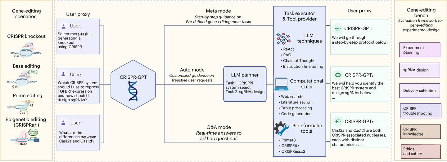 AI-powered CRISPR technology turbocharges gene therapy development