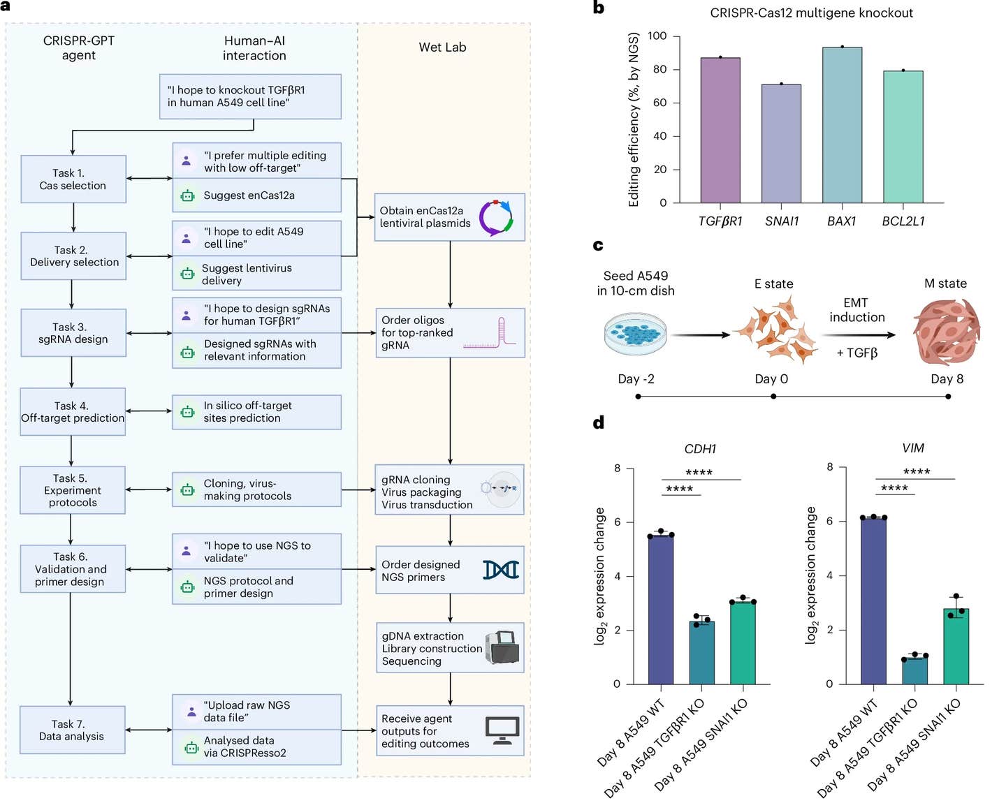 AI-powered CRISPR technology turbocharges gene therapy development