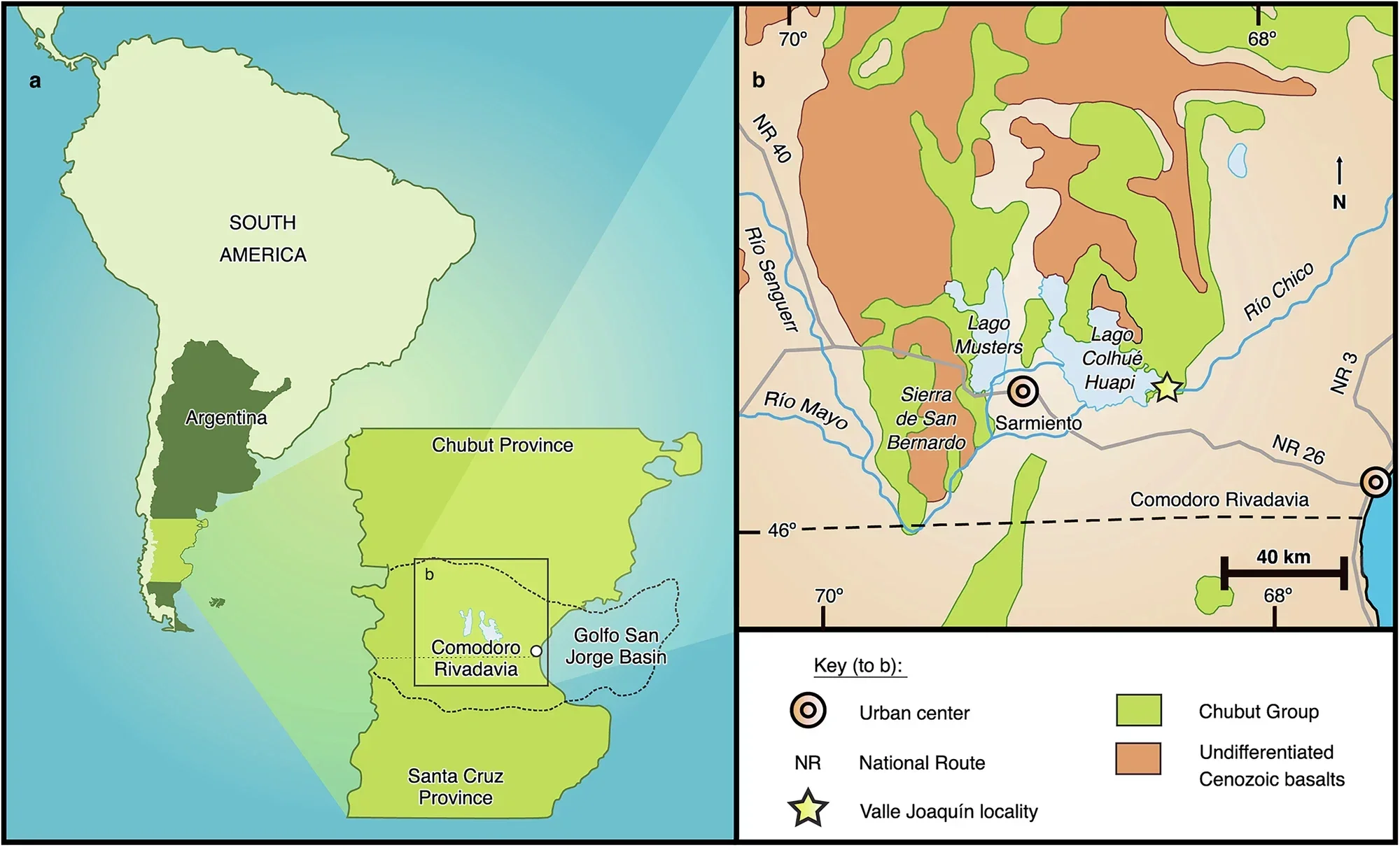Location of the study area in south-central Chubut Province, central Patagonia, Argentina. Simplified geologic map showing the informally named Valle Joaquín locality in the Upper Cretaceous Lago Colhué Huapi Formation (part of the Chubut Group) that yielded Joaquinraptor casali gen. et sp. nov.