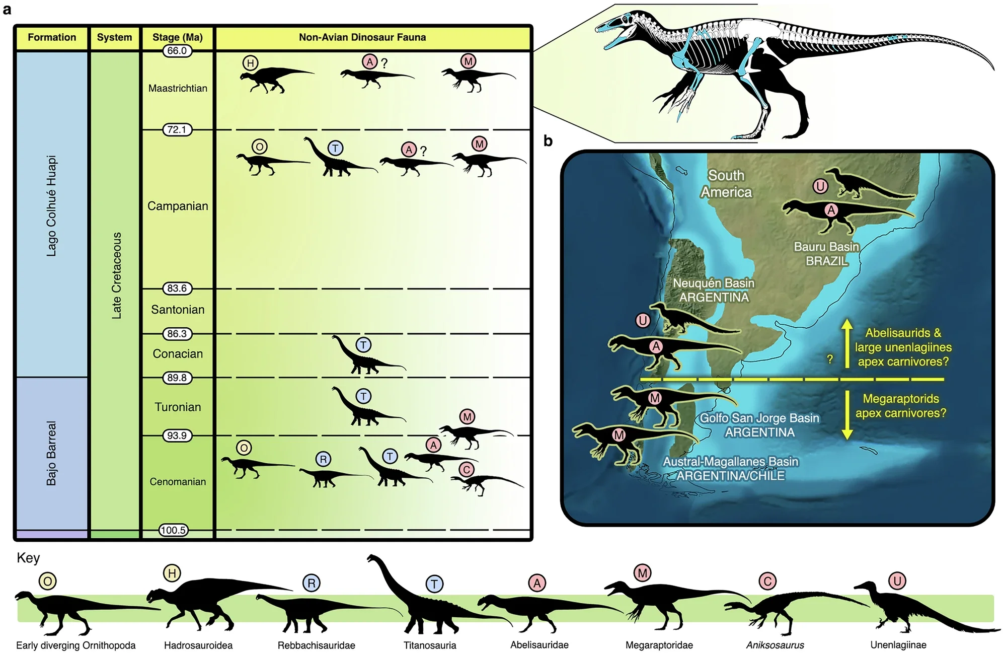Dinosaur fauna of the Chubut Group and hypothesized distribution of theropod apex predators in the latest Cretaceous of southern South America.