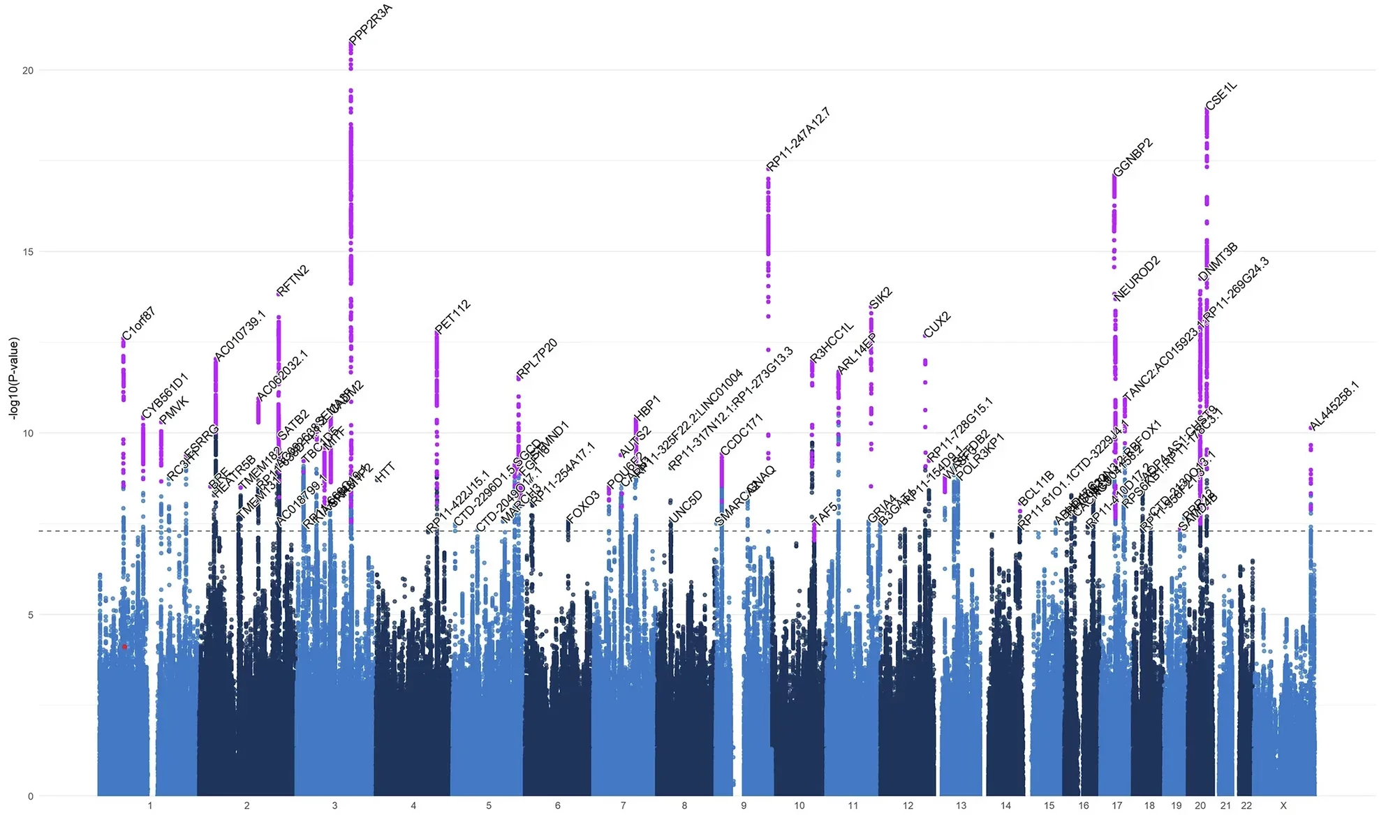 Regions associated with dyslexia and reading ability.