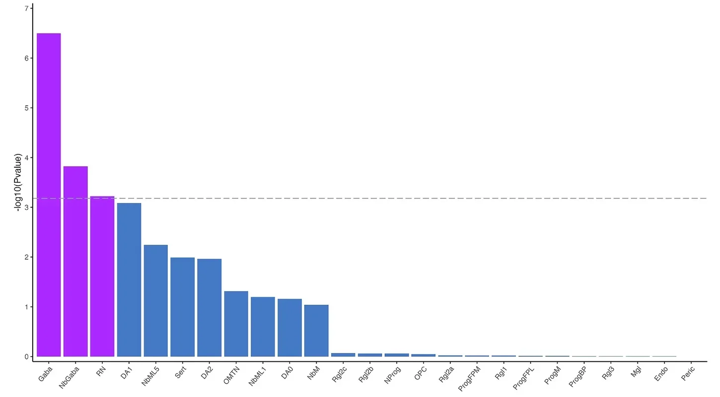 Analysis of expression patterns of dyslexia-associated genes in the developing human brain.