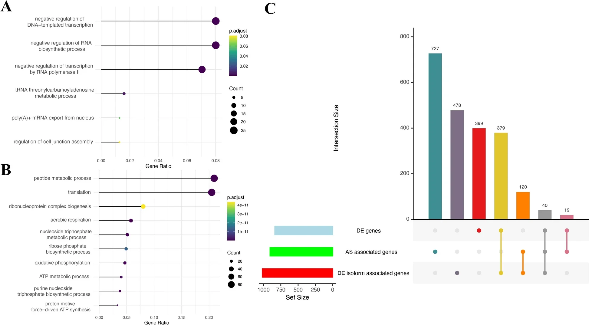 Functional enrichment of sex-biased isoforms and associated genes.