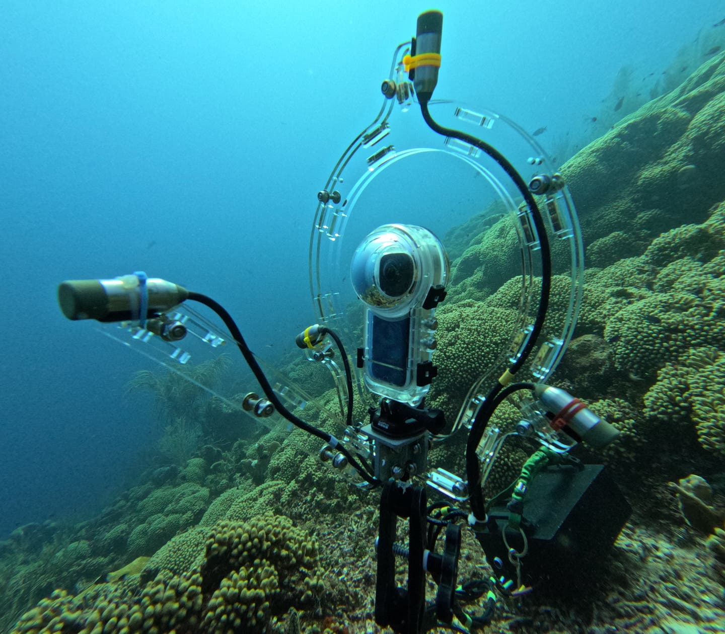 Coral reefs are alive with sound, and new 360° recording technology reveals the hidden voices of fish and shrimp, offering a powerful tool for science and conservation.