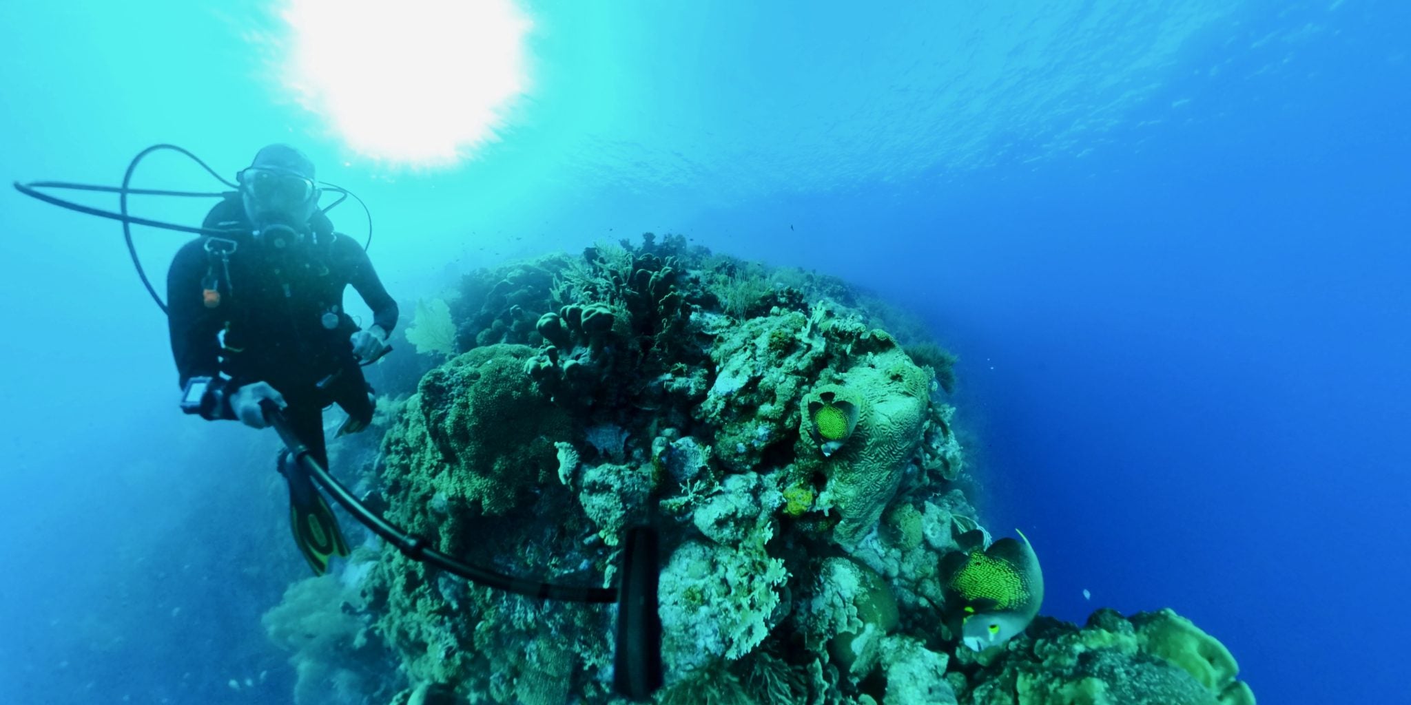 Underwater, there is a soundscape of snapping shrimp, grunting fish, and other animals that fill the scene.