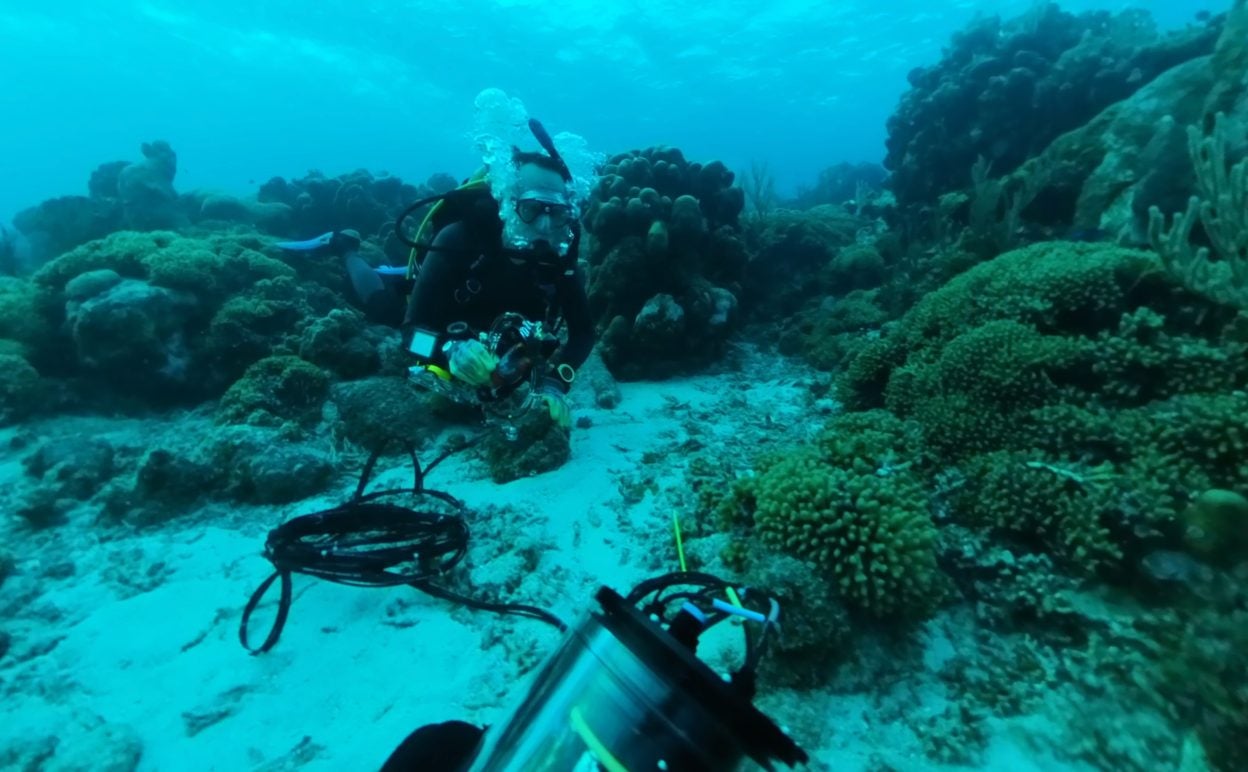 At the heart of this innovation is what the team has dubbed an Omnidirectional Underwater Passive Acoustic Camera, or UPAC-360.