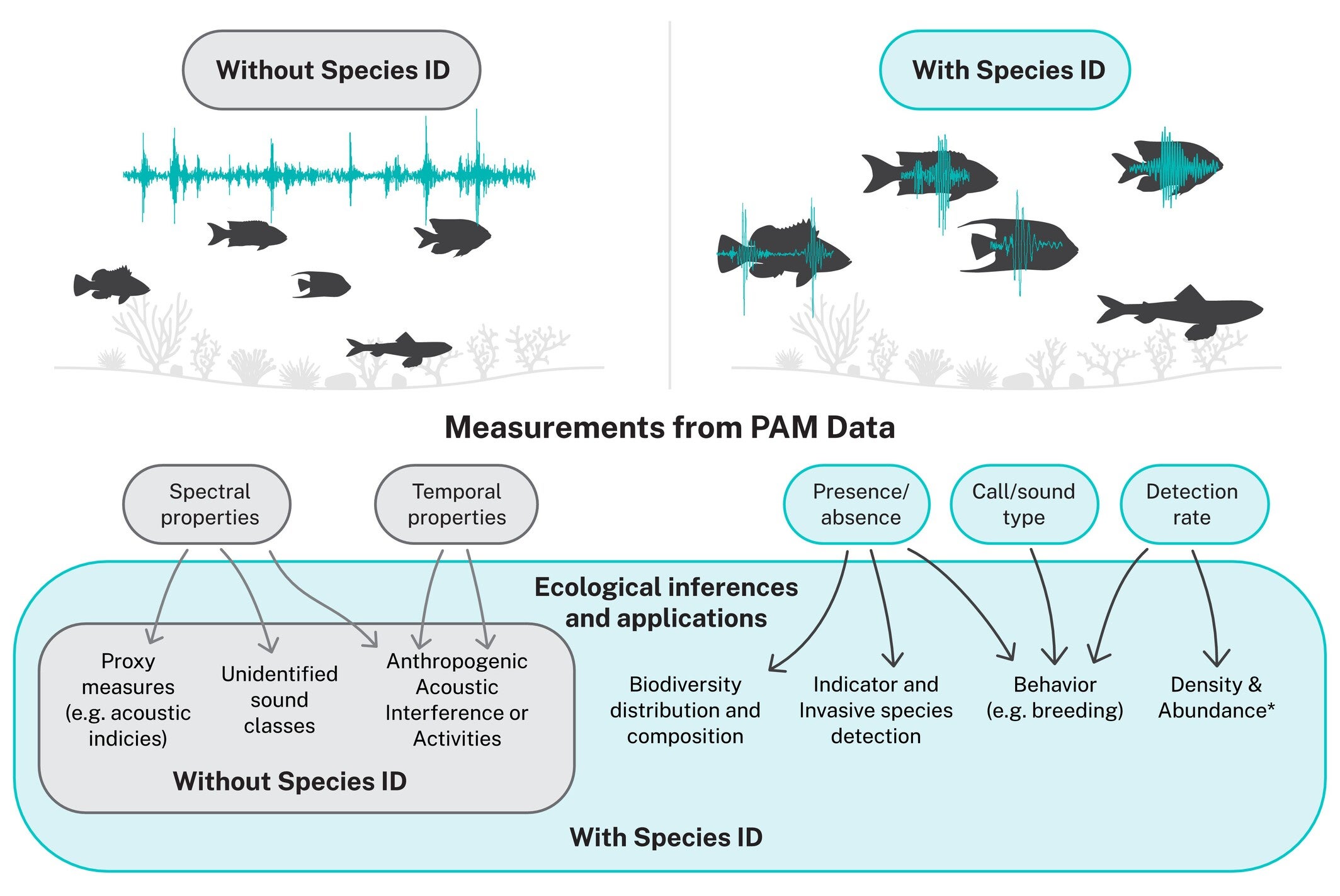 Conservation inferences from bioacoustics, both without and with species identities from sound.