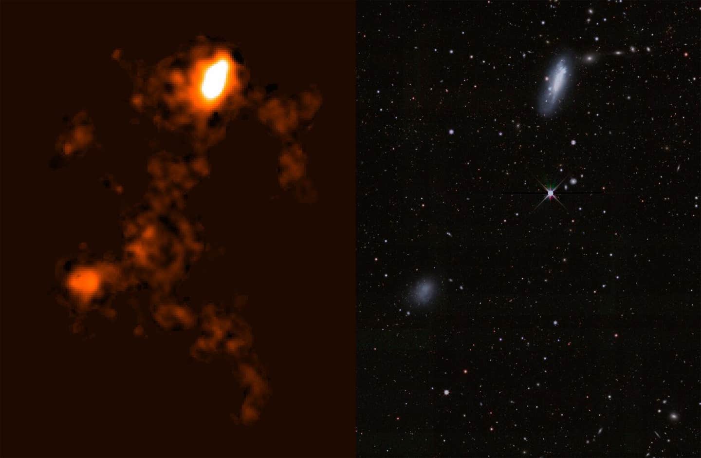 Left: Radio image of neutral hydrogen in and around NGC 4532 / DDO 137 using ASKAP. Right: an optical image of the galaxy from the Legacy Surveys.