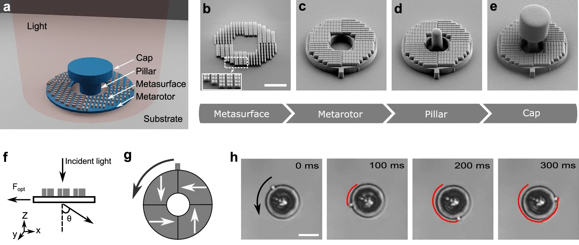 Schematic illustration of the optically powered micromotor, featuring a ring-shaped metarotor containing a metasurface, anchored to a glass chip using a capped pillar.