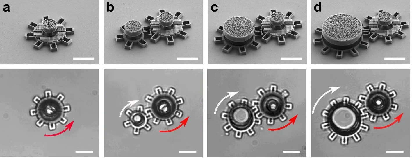 SEM images (top panels) and optical microscopy images (bottom panels) of metarotors acting as driving gears that propel passive gears with varying diameters