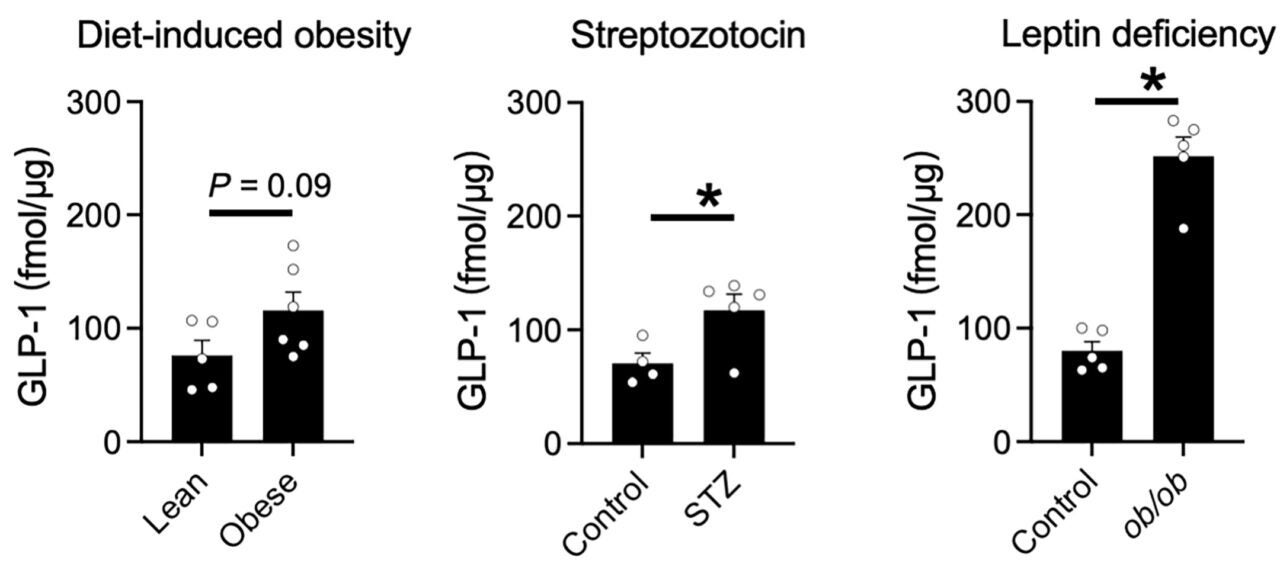 Islet GLP-1(7–36)NH2 levels in different models of metabolic stress.