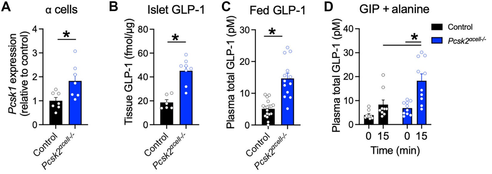 Deletion of Pcsk2 in α cells increases Pcsk1 expression and GLP-1 production.
