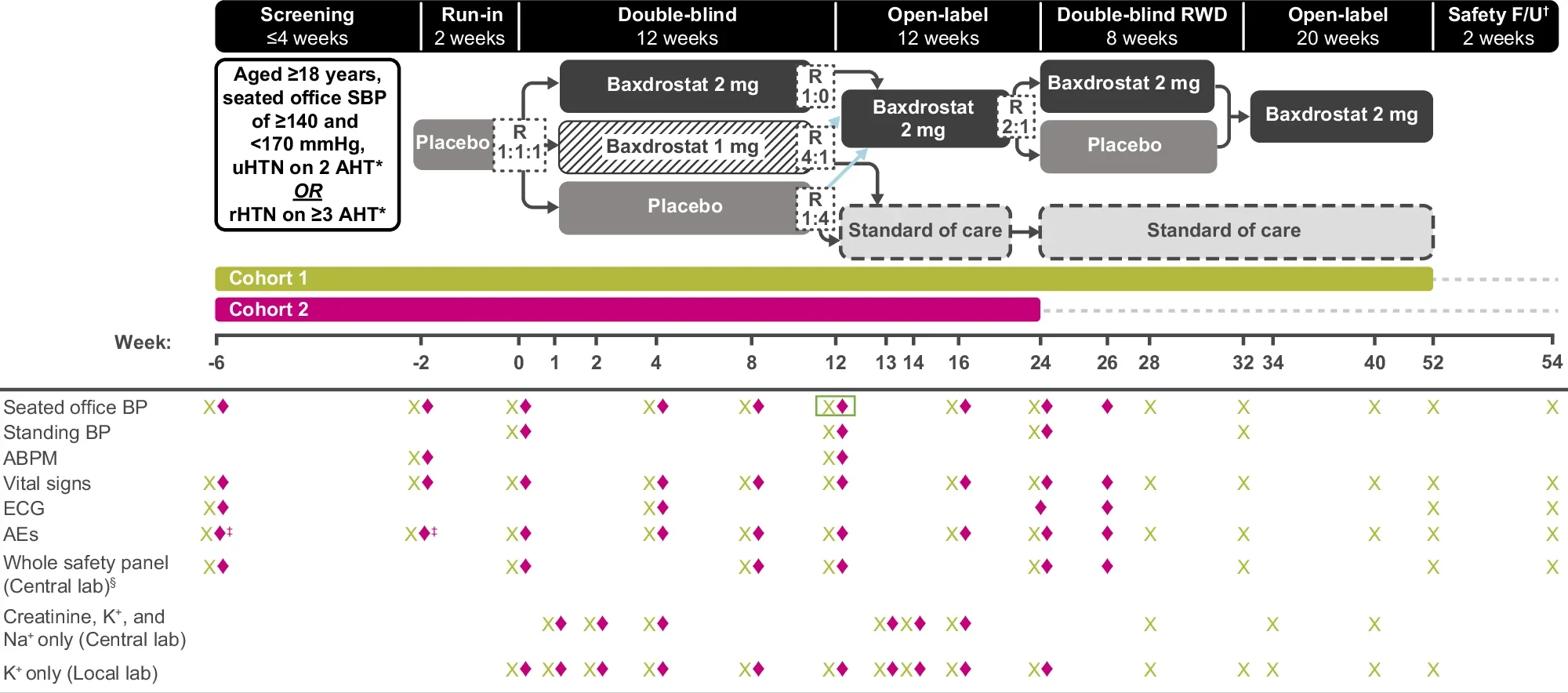BaxHTN study design. Primary endpoint: change from baseline in seated office SBP at Week 12.