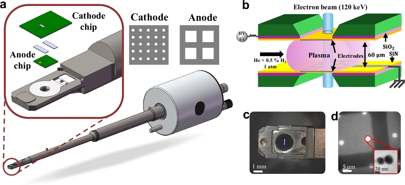 Plasma cell and holder designed for operando plasma TEM study.
