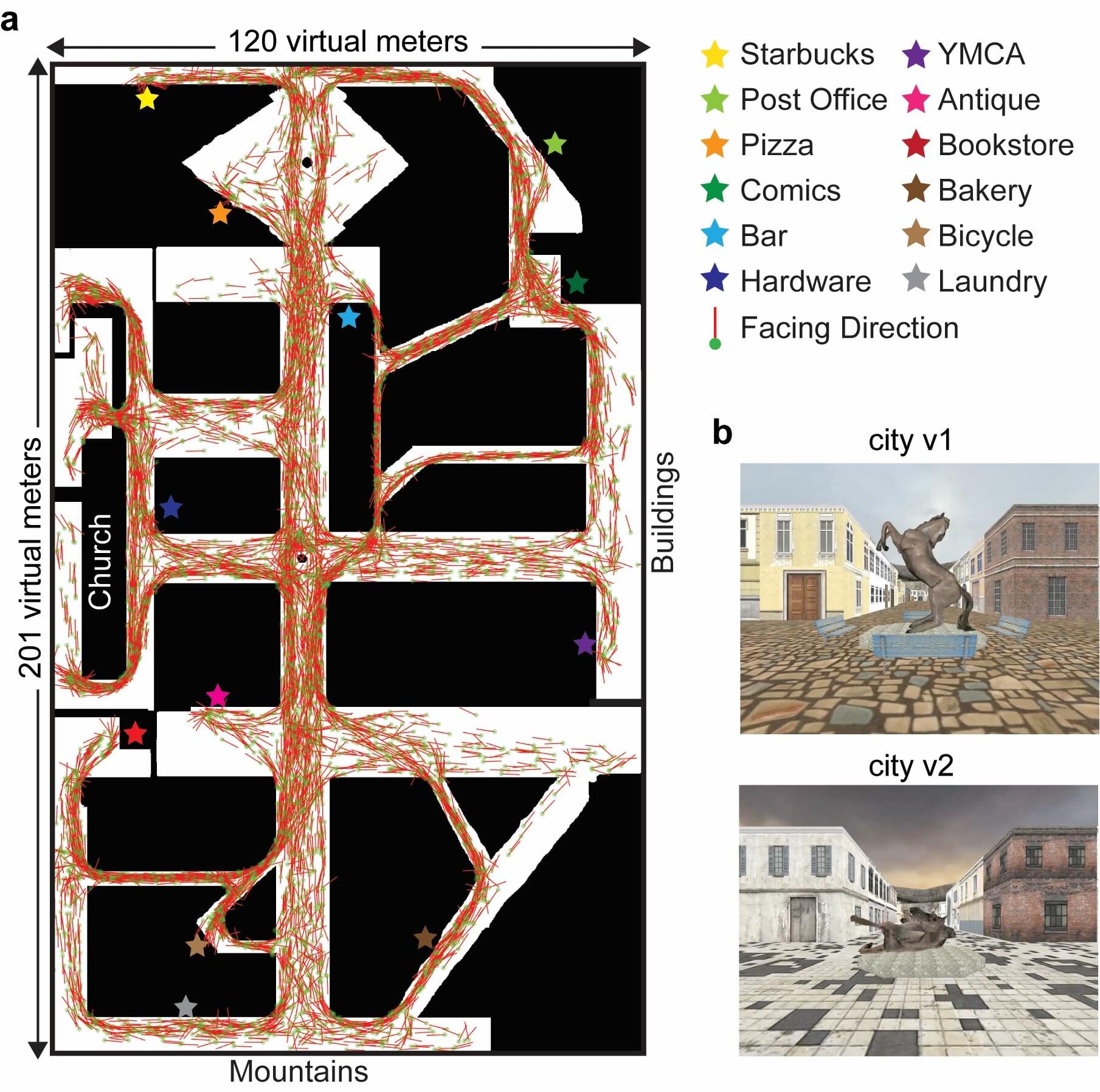 (a) Map of a virtual reality city with stars indicating target locations. The movement trajectory for one participant is plotted: green dots indicate their location at different timepoints, and red lines indicate their facing direction. (b) Ground-level views of the same location in two versions of the city.
