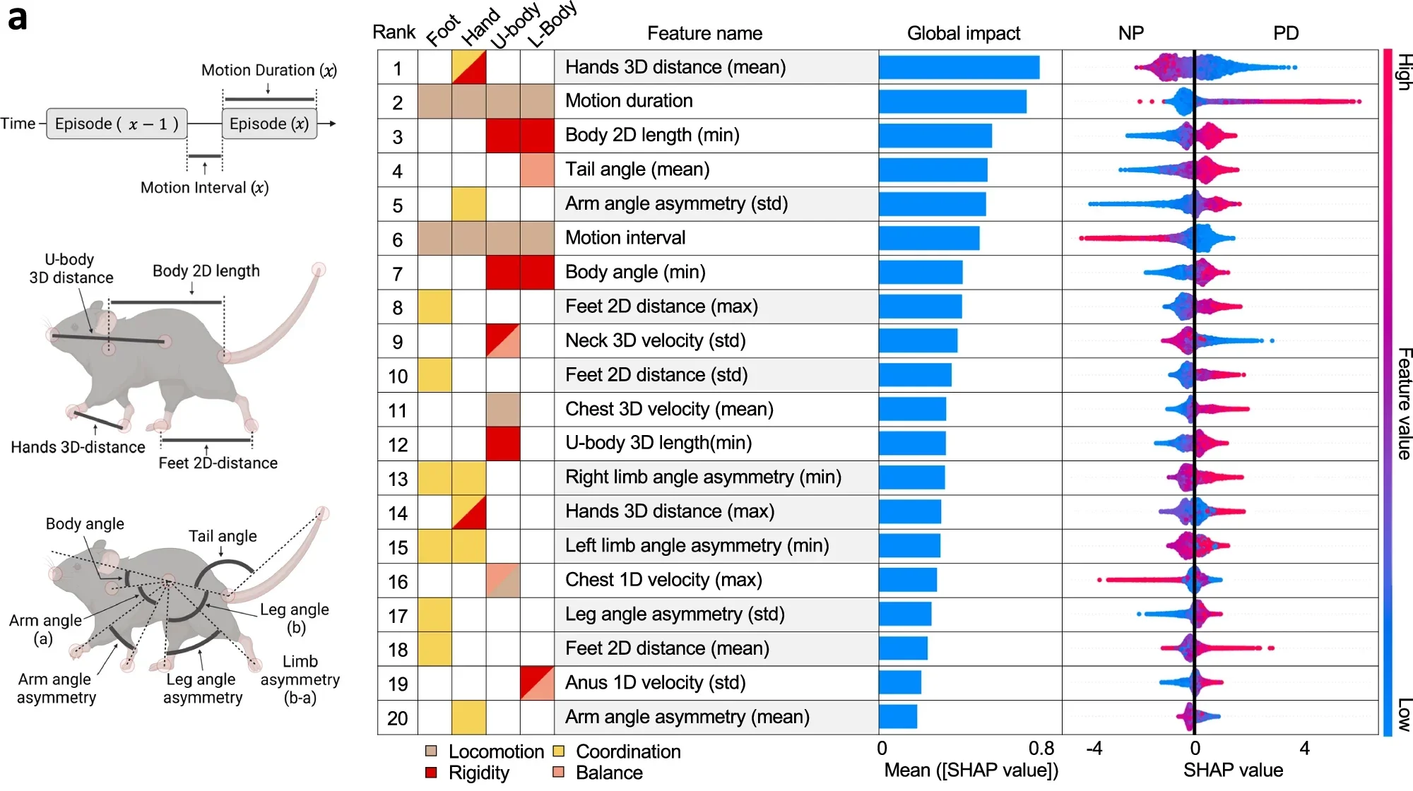 Exploring PD phenotypes through top 20 behavioural features with insights from XGB model interpretation.