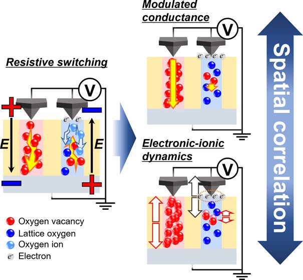 Resistive switching, characterized by reversible changes in material resistance under external electric fields, underpins resistive random-access memory (ReRAM) technology, which holds promise for next-generation memory and neuromorphic devices owing to its fast switching speed, nonvolatility, and structural simplicity.
