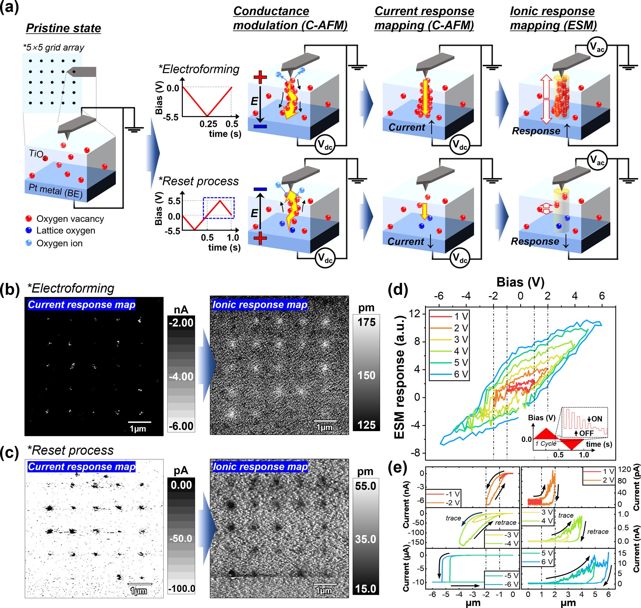 Correlation of conductance changes and defect ion dynamics during resistive switching. 
