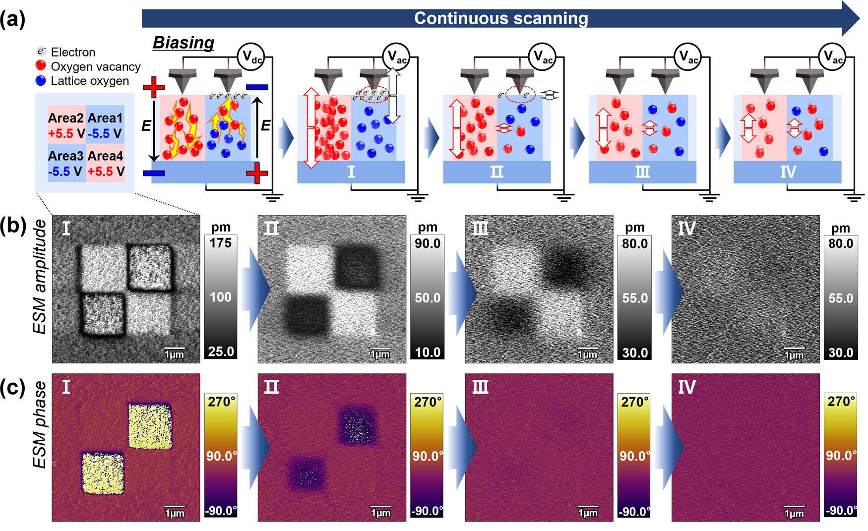 Electron injection effects under negative electric fields.