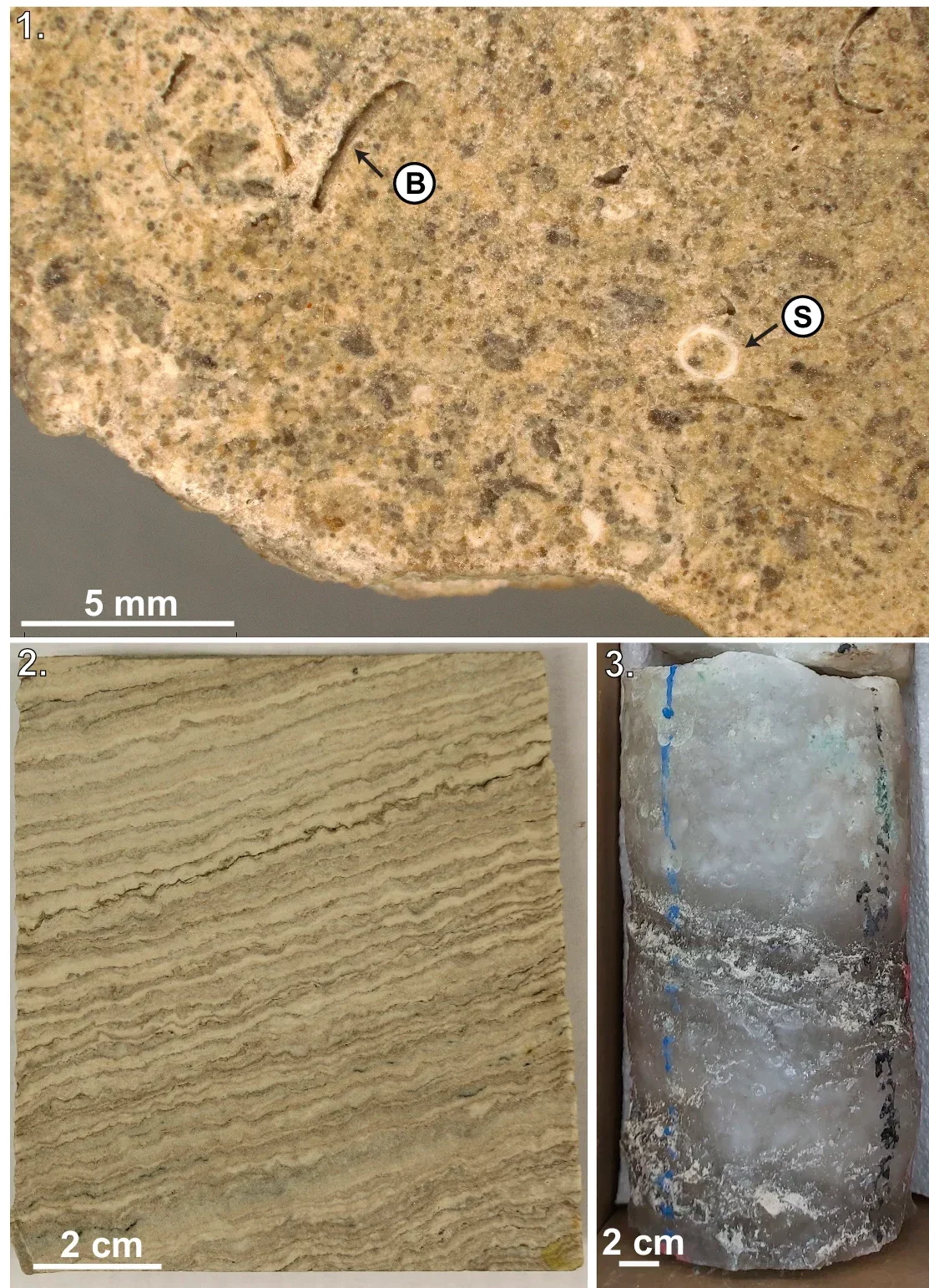 (1) Limestone layer at the top of Core 1 from a depth of 1027.2 m. (2) Core slab of finely laminated anhydrite at a depth of 1054.2 m. (3) Core of massive halite at 1057 m depth.