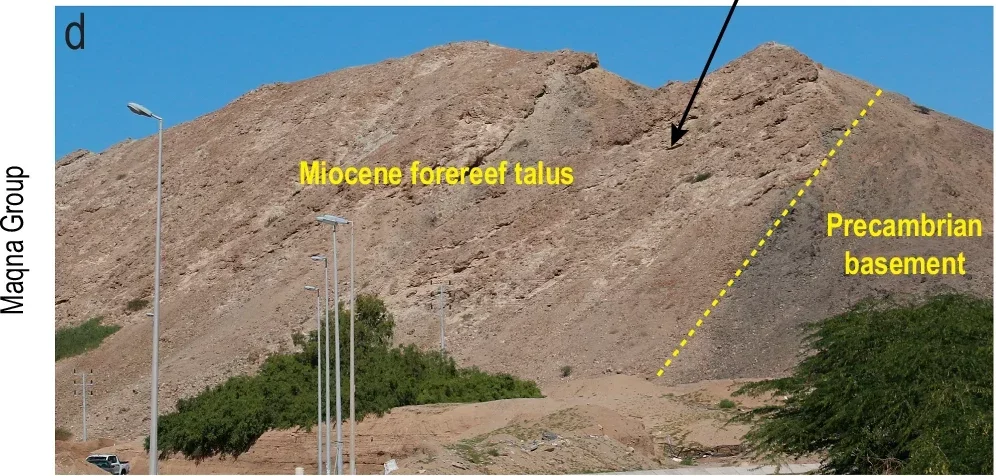 Outcrop of a Middle Miocene reef near the city of Umluj, northern Red Sea coast