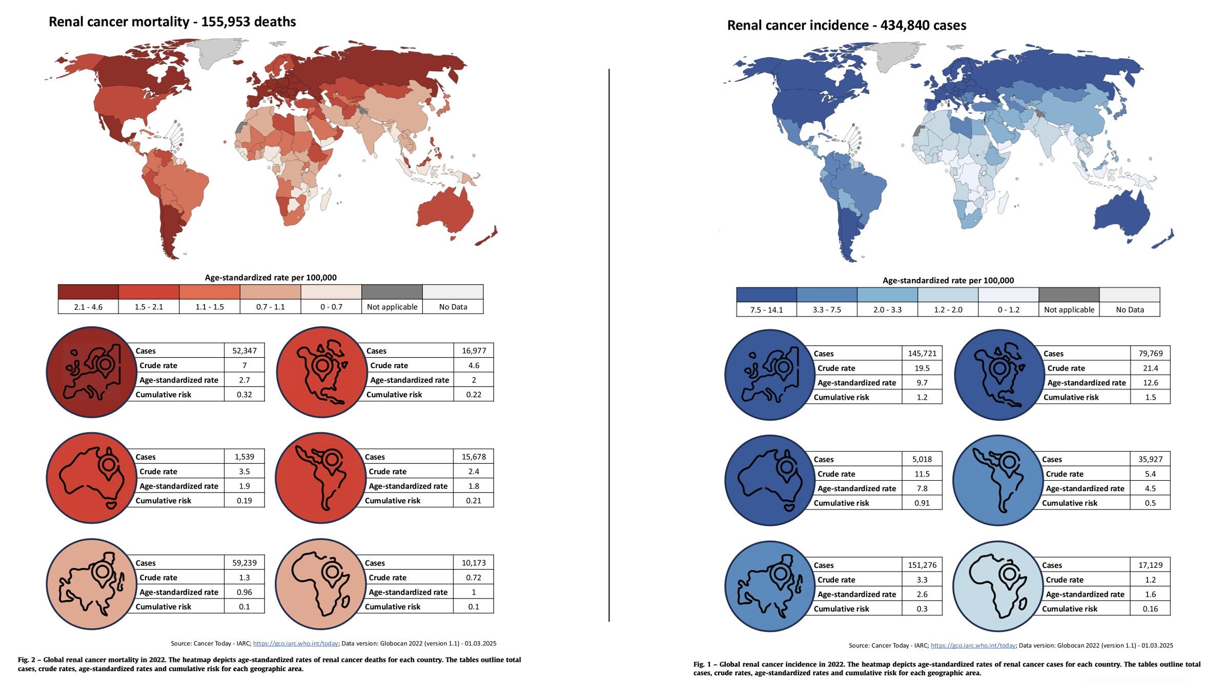 Renal cancer (RC) is a common malignancy. Its incidence and mortality rates vary by geographic area and sex, and are projected to increase in the future.