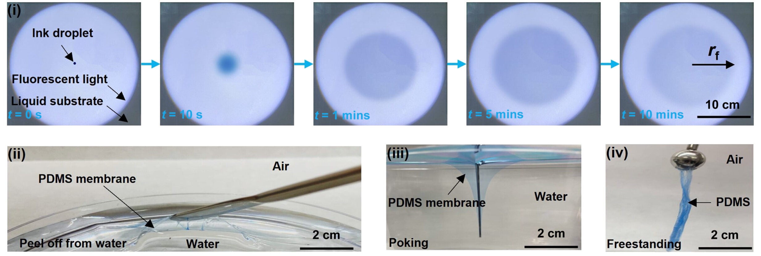 HydroSpread fabrication and characterization of soft thin films on water solution surface.