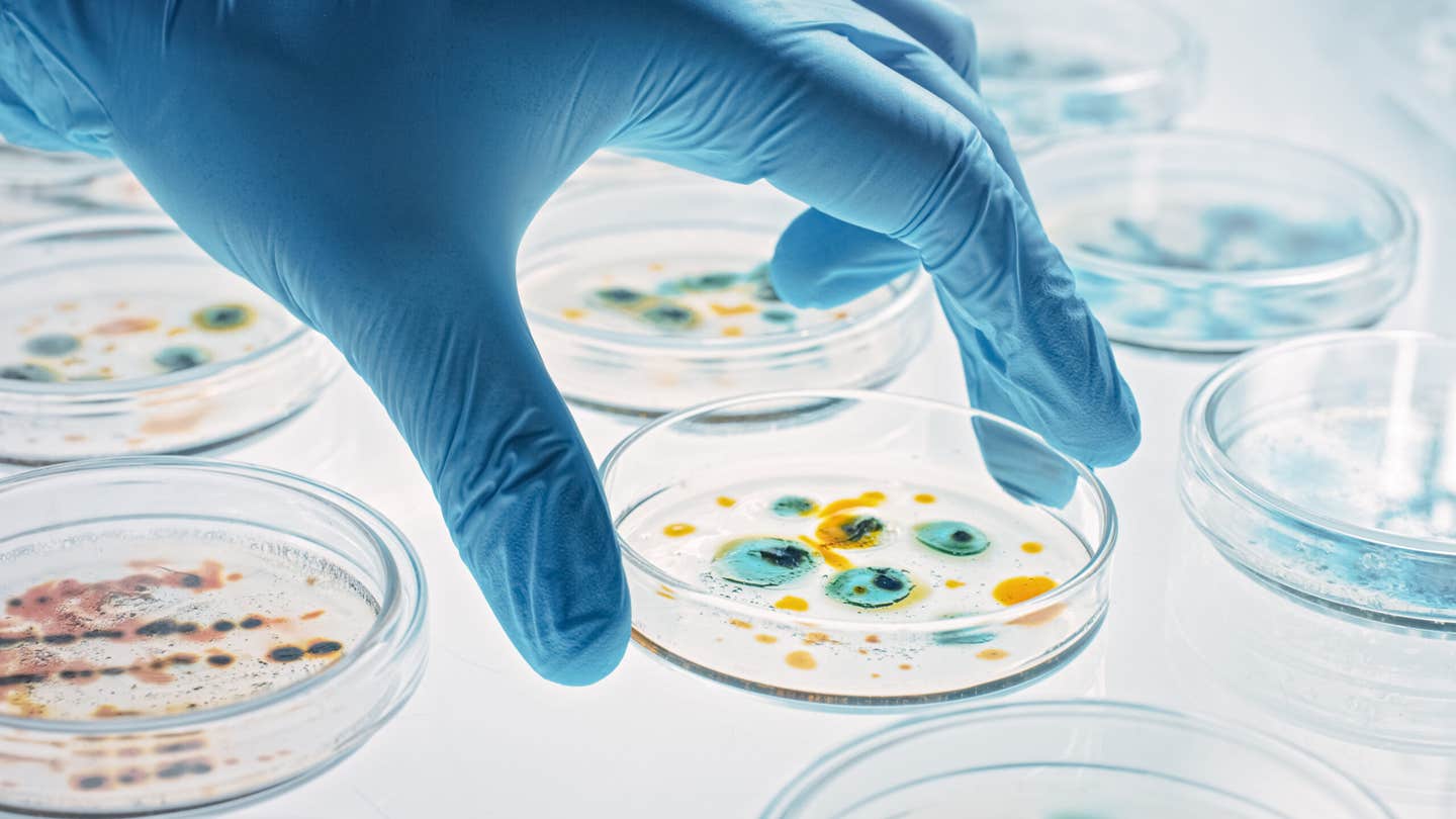 Scientists reveal polymyxin B needs bacterial energy to kill, offering new ways to fight antibiotic resistance.