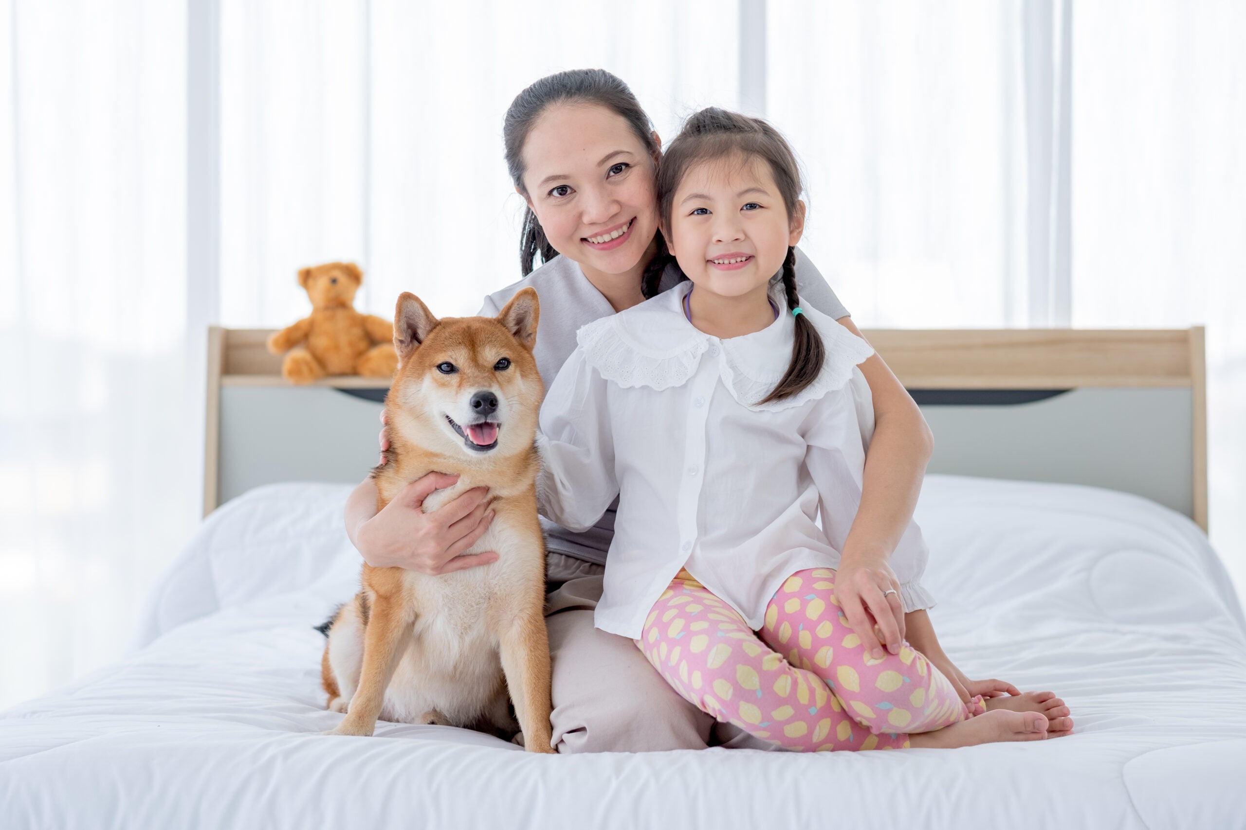 Babies who grow up in dog-owning families could end up with an unexpected advantage by the time they reach preschool.