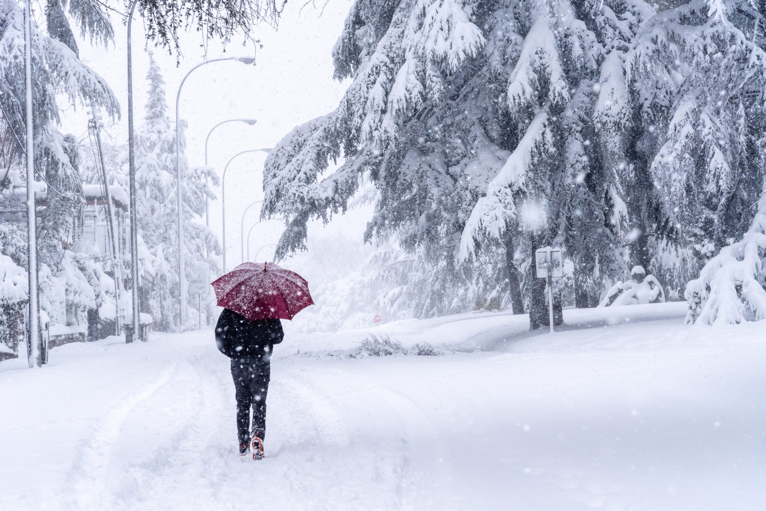 A distorted polar vortex sends Arctic air deep into the U.S., showing how polar vortex extreme cold U.S. winter events defy global warming trends.