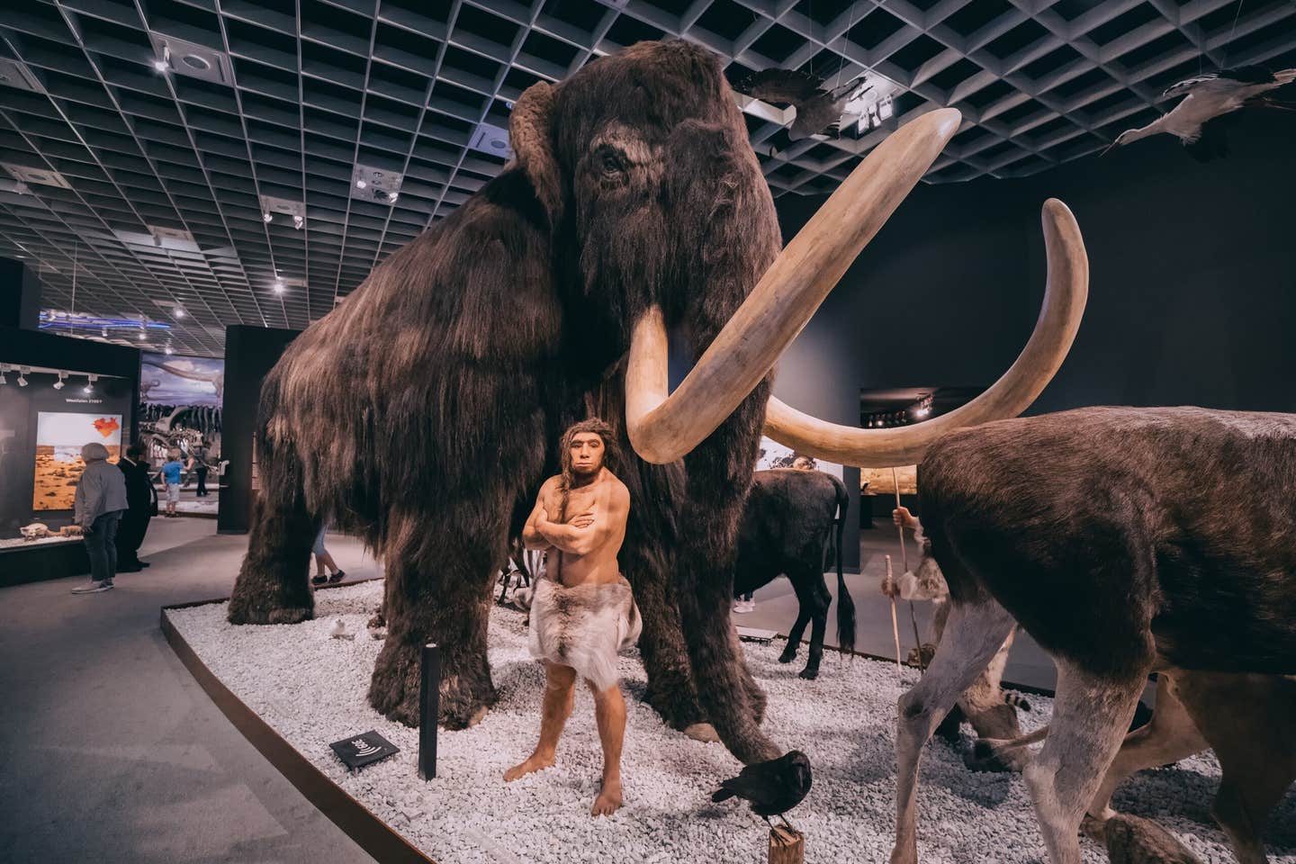 Scientists uncover DNA’s hidden switches that control genes and discover million-year-old microbial DNA in mammoths