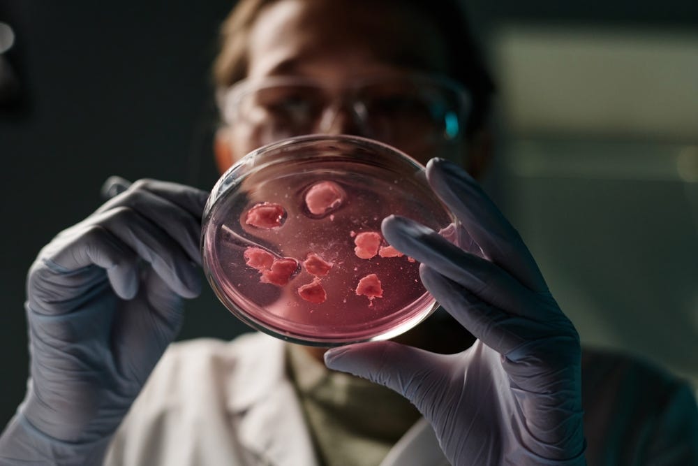 Custom-built therapy named Entelli-02, a mixture of five carefully selected phages that could one day help save patients’ lives when antibiotics fail.