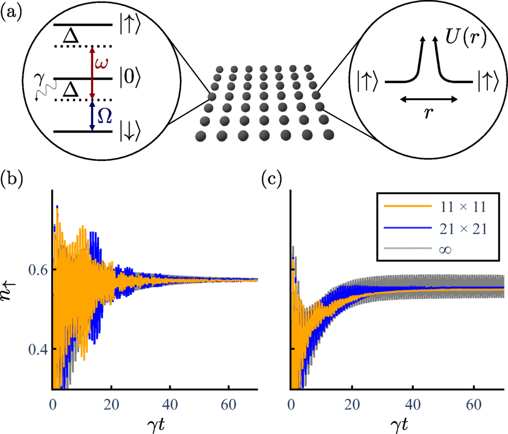 The three states of spin-1 particles in a two-dimensional lattice are coupled by a resonant field with Rabi frequency 
ω and a field with Rabi frequency Ω that is detuned by Δ from the lower transition. 
