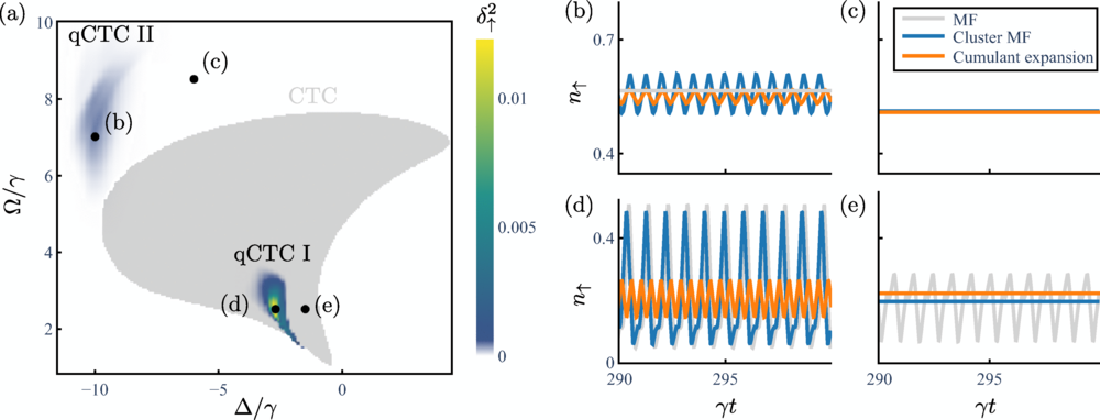 Phase diagram in the thermodynamic limit for ω=6γ and χ=−18γ. The occurrence of mean-field CTCs is marked by the gray shaded area.