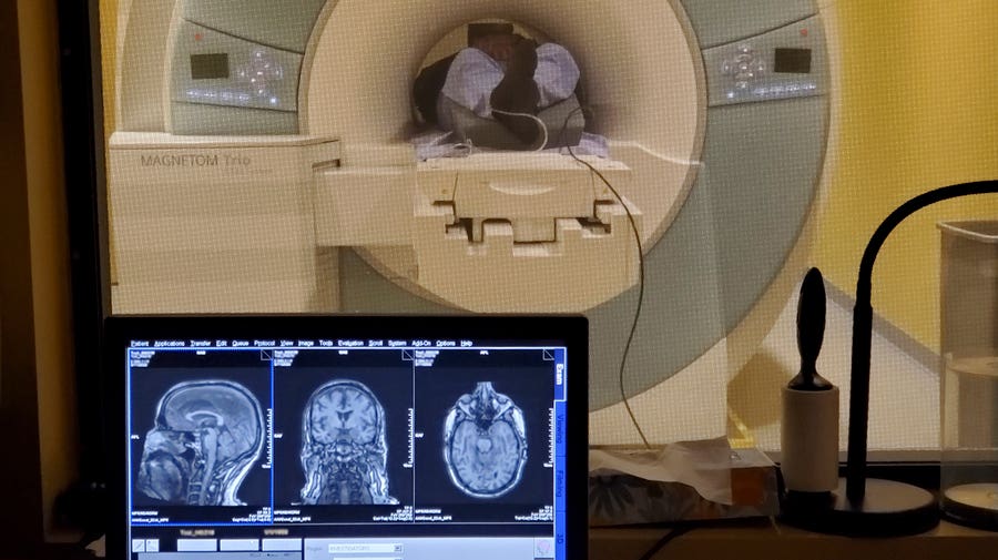 Researchers at the Picower Institute are exploring whether stimulating the brain’s natural 40-hertz “gamma” rhythm can slow or reverse Alzheimer’s disease