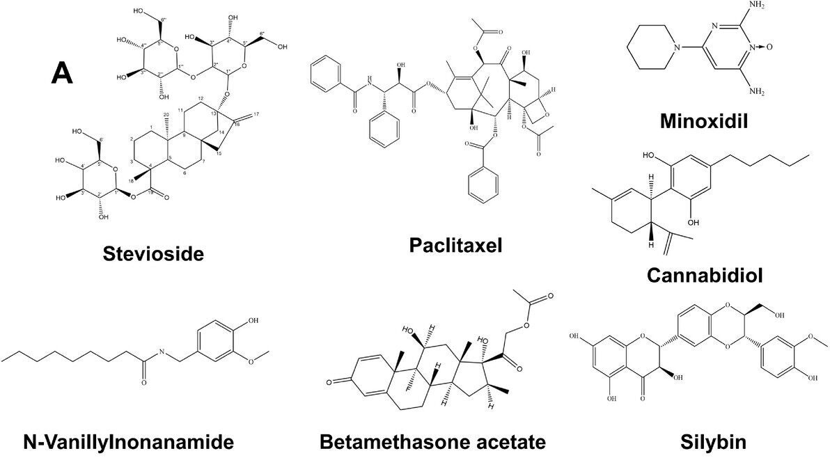 The chemical structures of stevioside, paclitaxel, N-vanillylnonanamide, MXD, cannabidiol, betamethasone acetate, and silybin. 