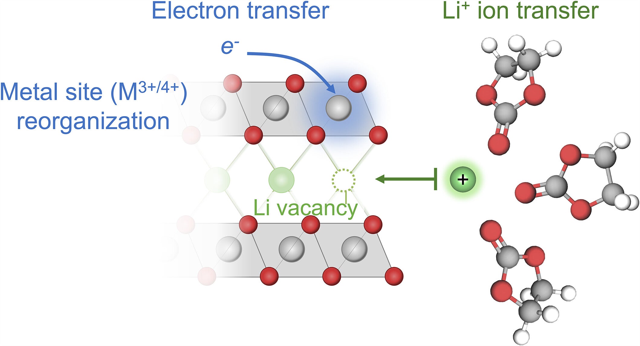 Schematic of lithium intercalation by CIET. Intercalation proceeds through simultaneous ion transfer to a crystal vacancy and electron transfer to an adjacent redox-active metal site. The transition state is governed by lithium vacancy fraction and reorganization of the electron environment. 