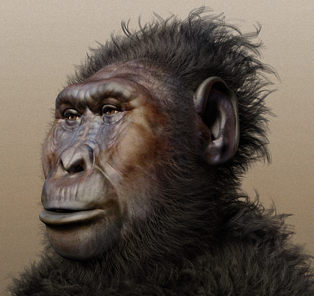 Newly discovered fossils in Kenya reveal that Paranthropus boisei, once seen as a simple plant-eater, had surprisingly human-like hands and feet—rewriting its place in human evolution.