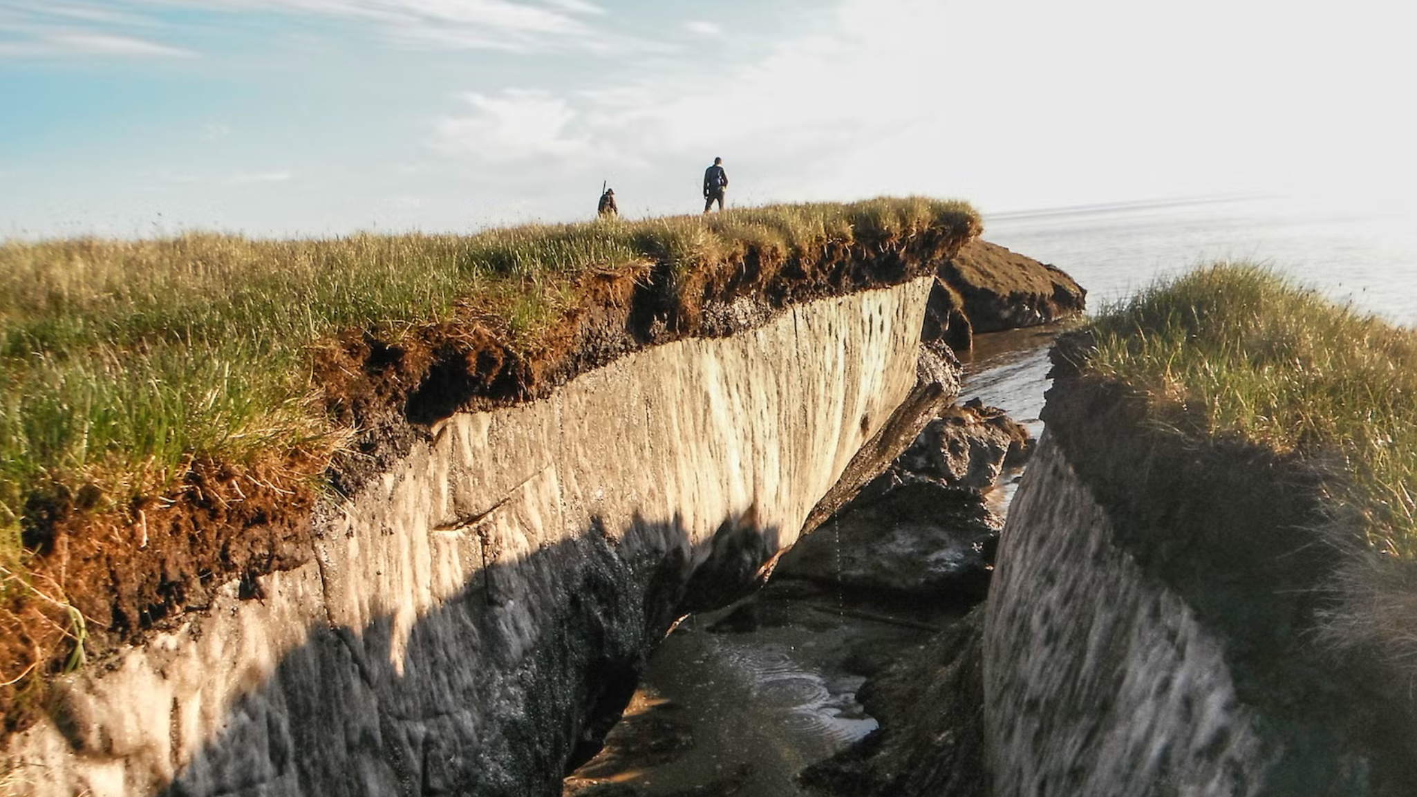 Scientists wake up microbes trapped in Arctic permafrost for