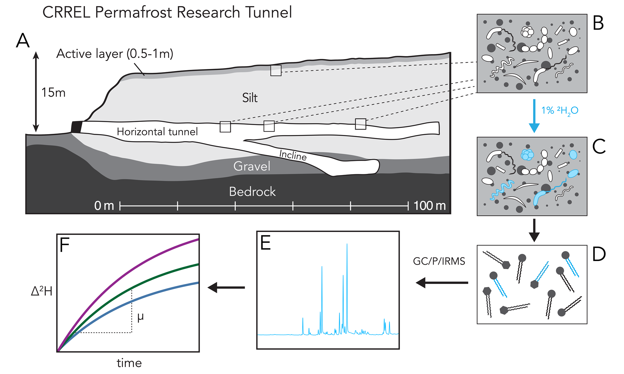 Schematic overview of study site and experimental procedure.