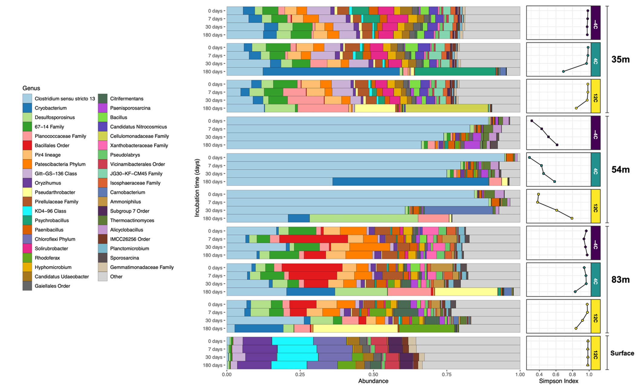Microbial abundance across all samples and incubations.