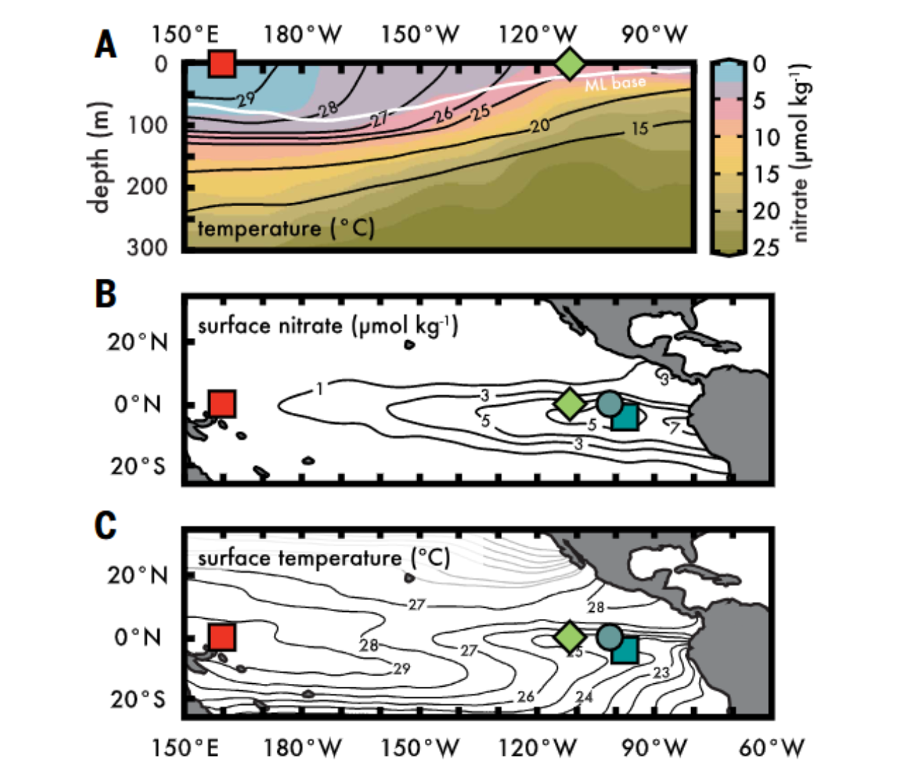 Upwelling brings cool, nutrient-rich water to the EEP surface.