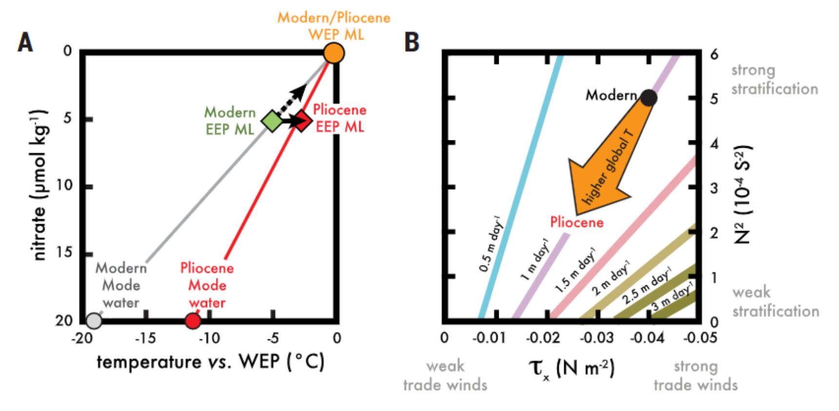 Role of subsurface warming in explaining Pliocene EEP nutrient conditions and temperature.