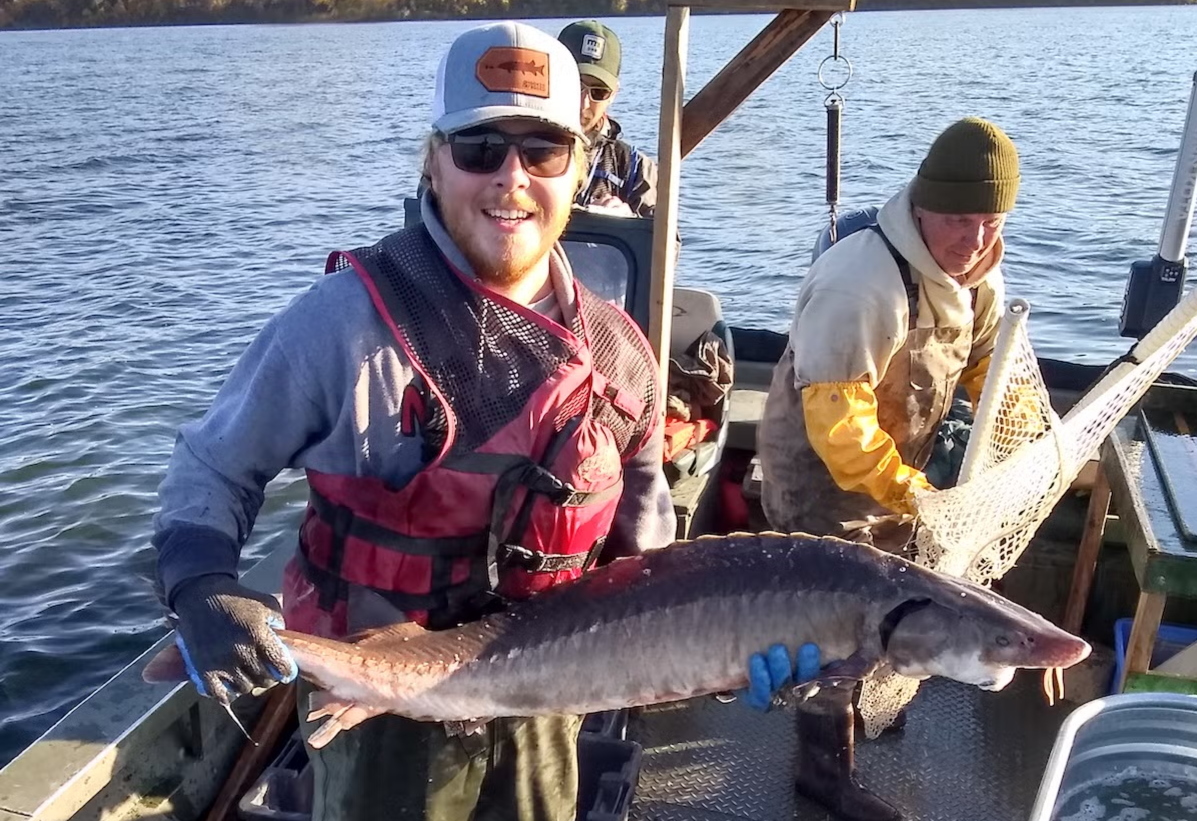 Minnesota Department of Natural Resources fisheries staff memberJoe Kaseforth with a lake sturgeon on Big Stone Lake.