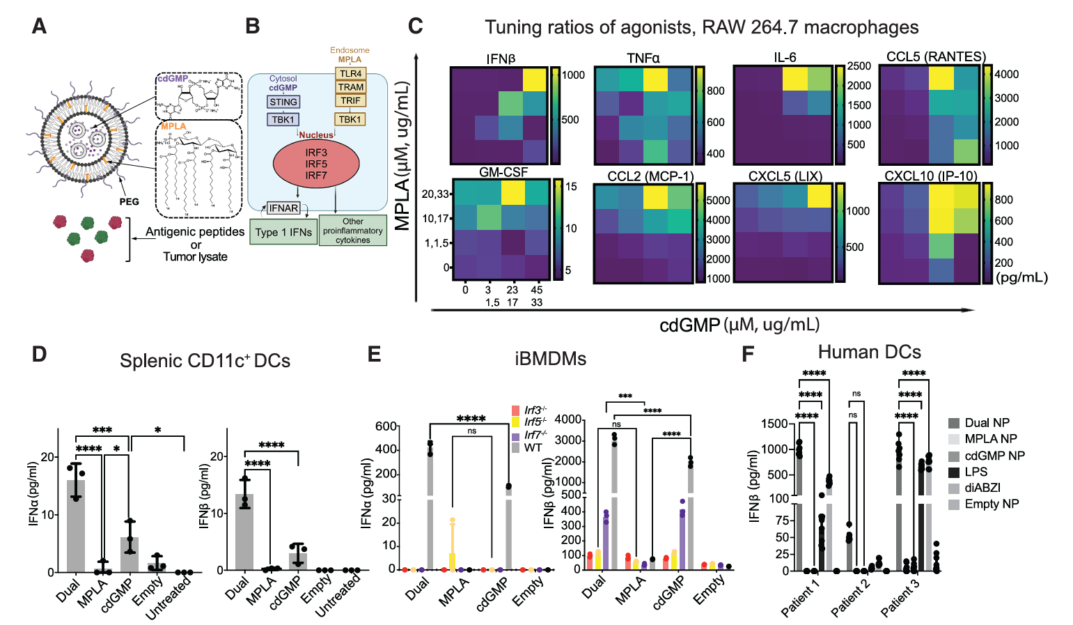 Tailoring NP engineering to augment cytokine synergy and antigen presentation
