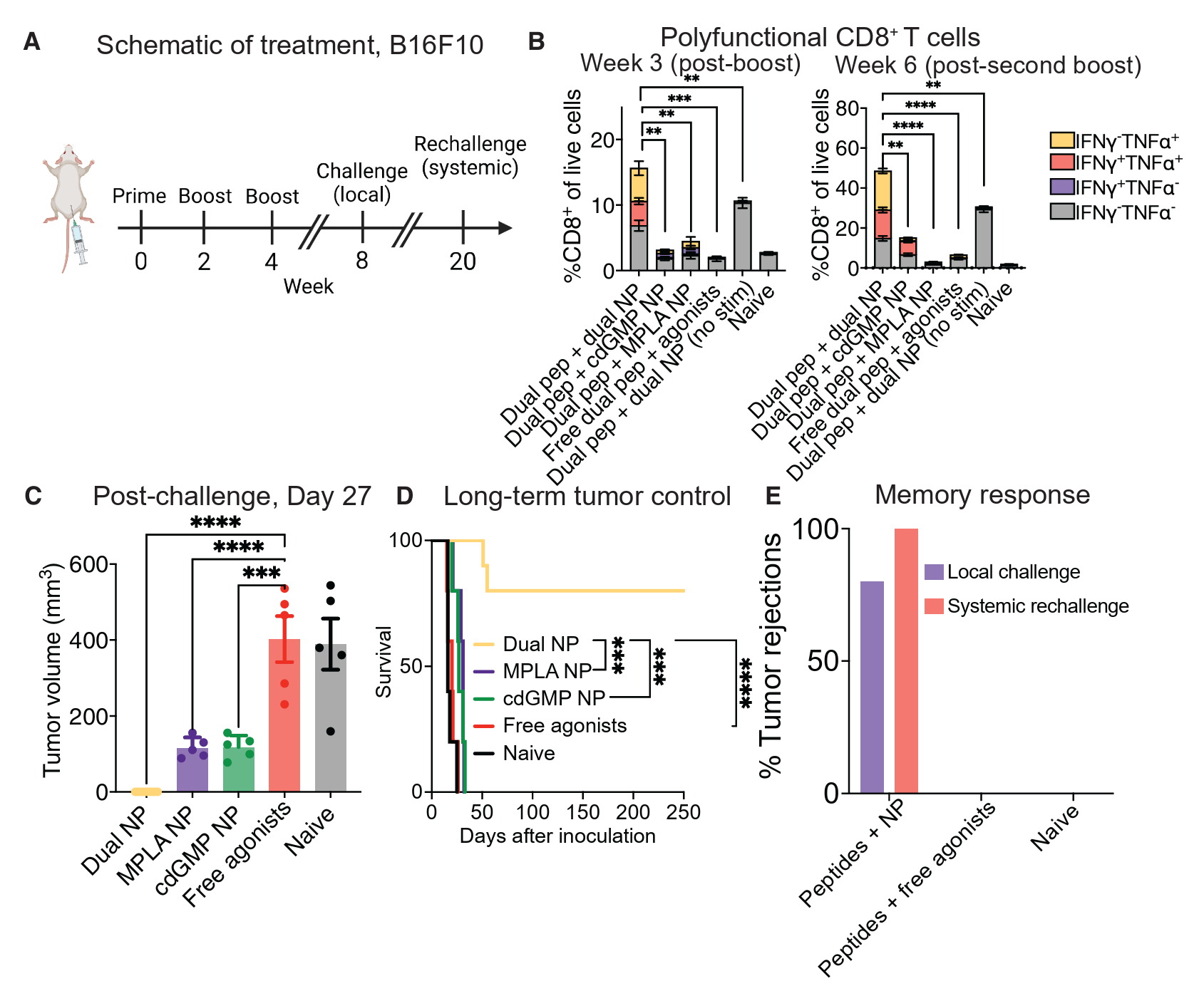 Multivalent peptide vaccination with NPs for prevention of tumor formation and long-term survival