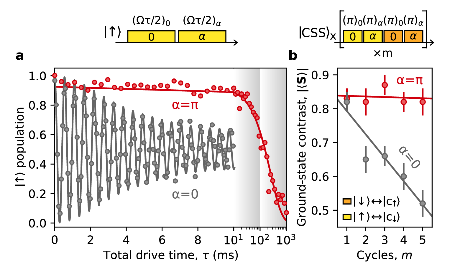 Rabi and rotary echo sequences on the clock transition. 
