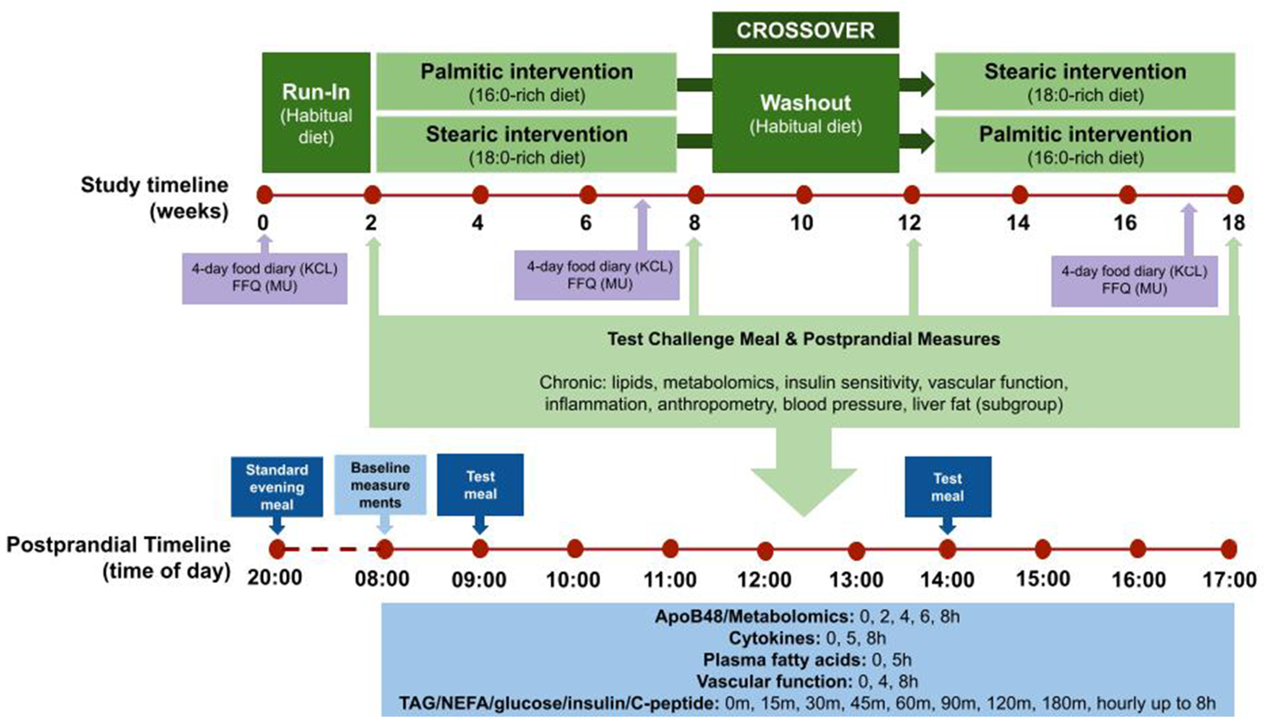 Overall InterSat study design. Abbreviations: FFQ, food frequency questionnaire