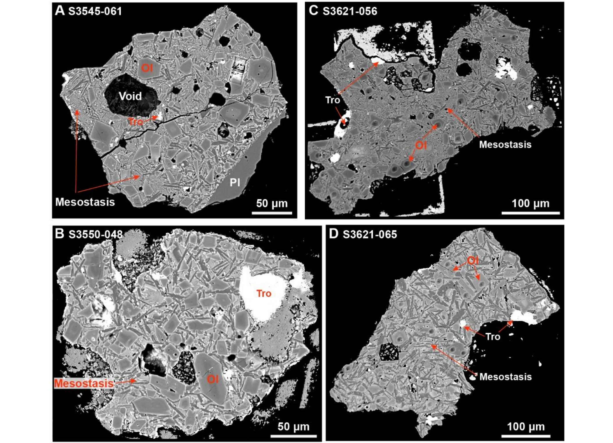 Representative back-scattered electron images of the olivine porphyritic clasts in CE-6lunar samples. (A)-(D) Clasts S3545-061, S3550-048, S3621-056 and S3521-065 showing a porphyric-olivine texture.