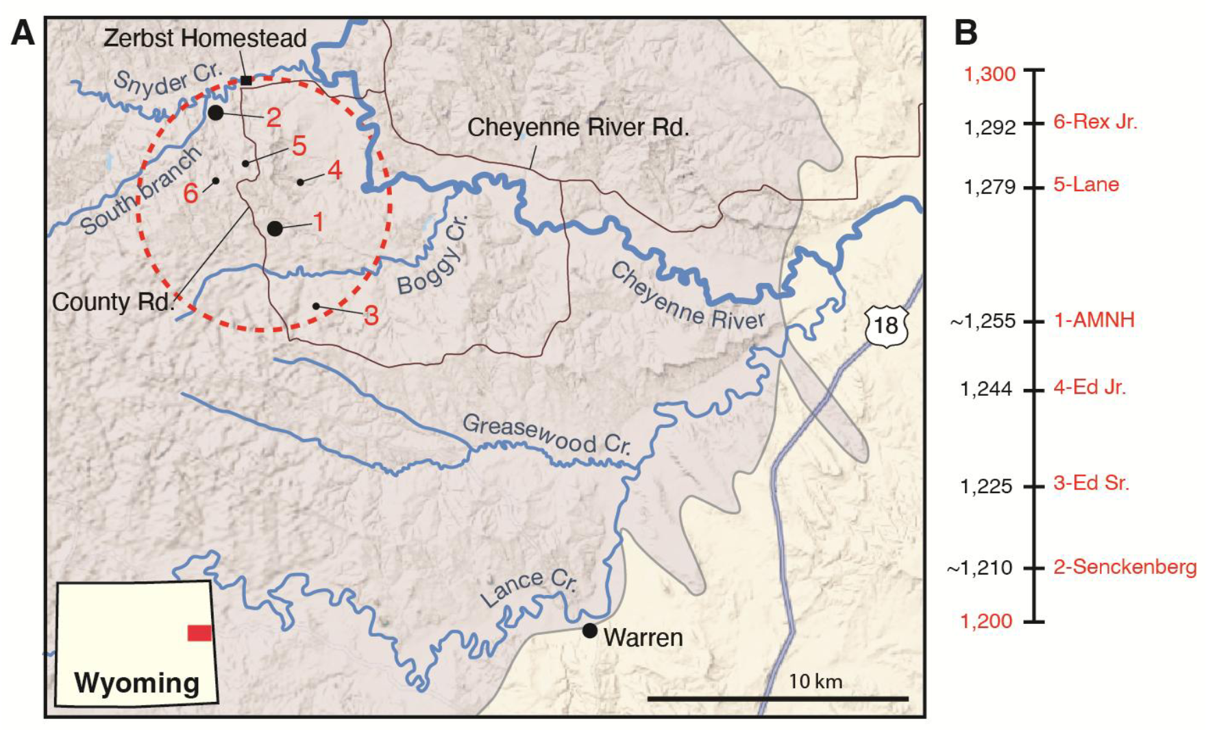 Dinosaur “mummy zone” in the Lance Formation of east-central Wyoming.